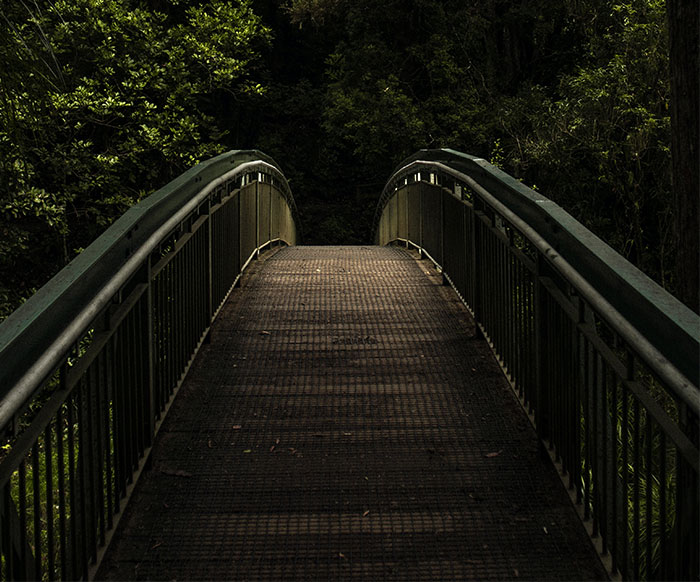 30 New ‘Today I Learned’ Facts That Prove It’s Never Too Late To Learn