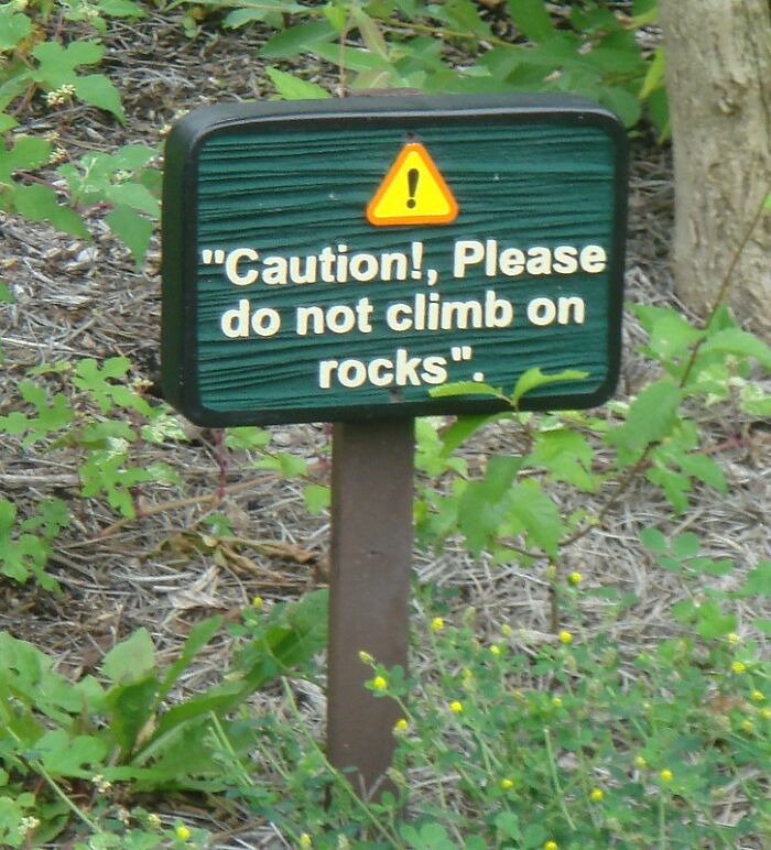 40 Of The Smallest Hills People Are Prepared To Die On, As Shared In This Online Group