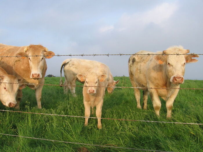 30 Facts That People Found Out Were False Way Too Late In Life, As Shared In This Online Community