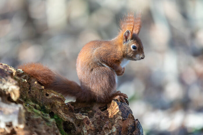 Someone In This Online Group Asked “What Was Something That Shocked You When You Visited A Foreign Country?” And 35 People Delivered