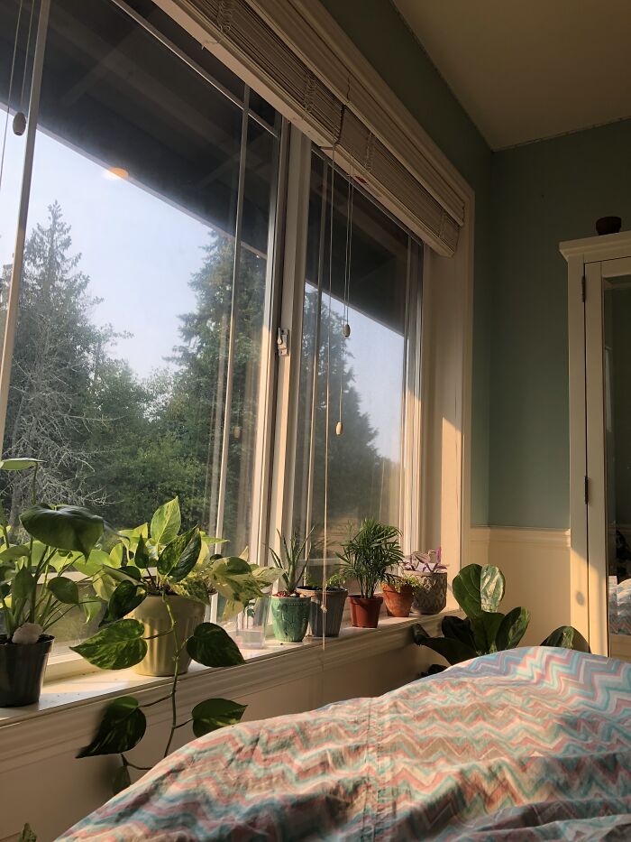 By Far The Best Part