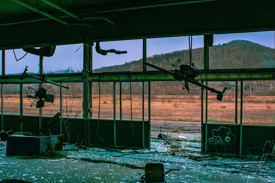 Adventure With Floof…at The Track! Adventure With Floof…at The Track!