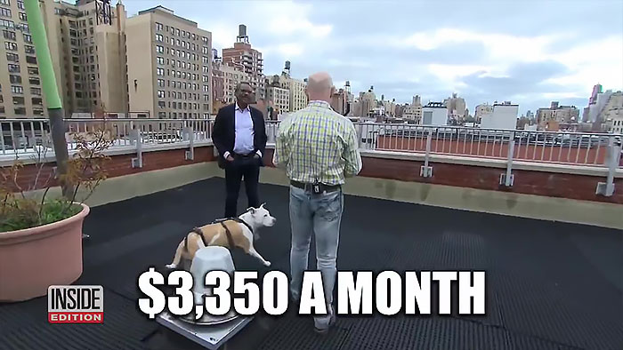 “He Won’t Budge!“: New York Tenant Refuses To Move Out, Delaying A $70M Project, Ends Up Getting A $25M Lawsuit In Return “He Won’t Budge!“: New York Tenant Refuses To Move Out, Delaying A $70M Project, Ends Up Getting A $25M Lawsuit In Return