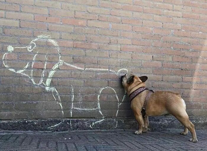 This Instagram Account Features Amusing Street Photographs And Has More Than 500 Thousand Followers (30 New Pics)