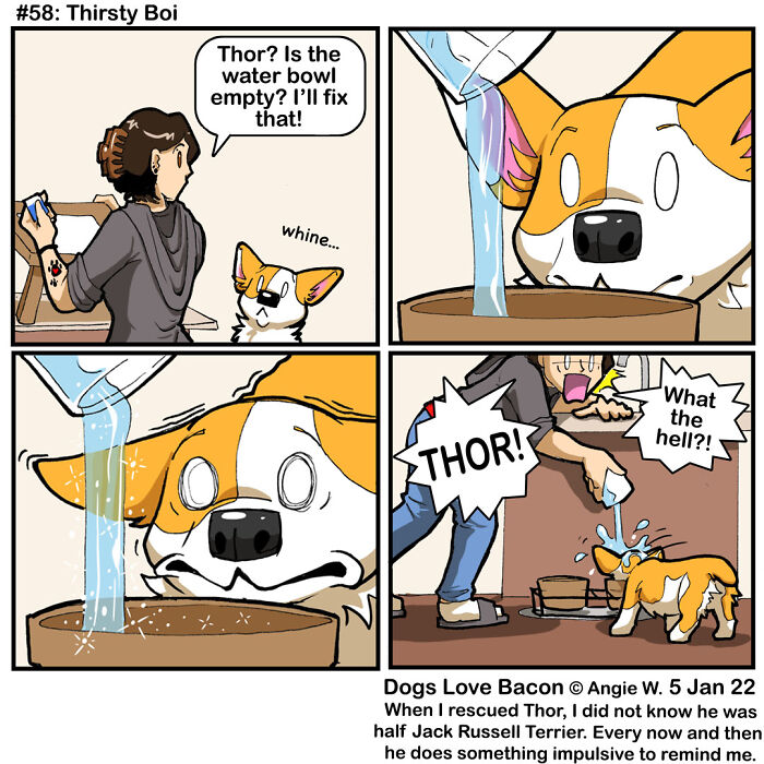 I Started A Comic About My Rescue Dogs, And Here Are Some More Comics!