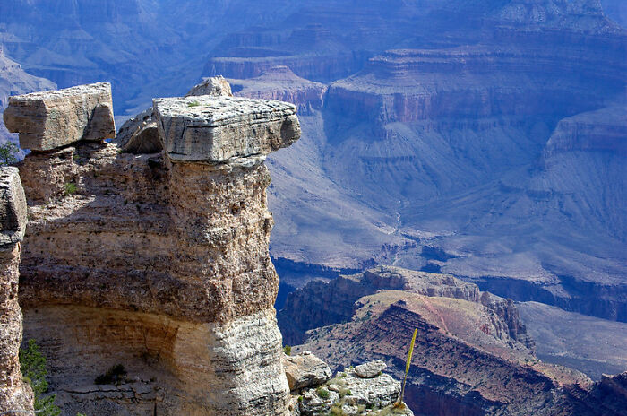 32 Folks Who Could Have Met Their End Due To Their Own Stupidity, As Shared Online