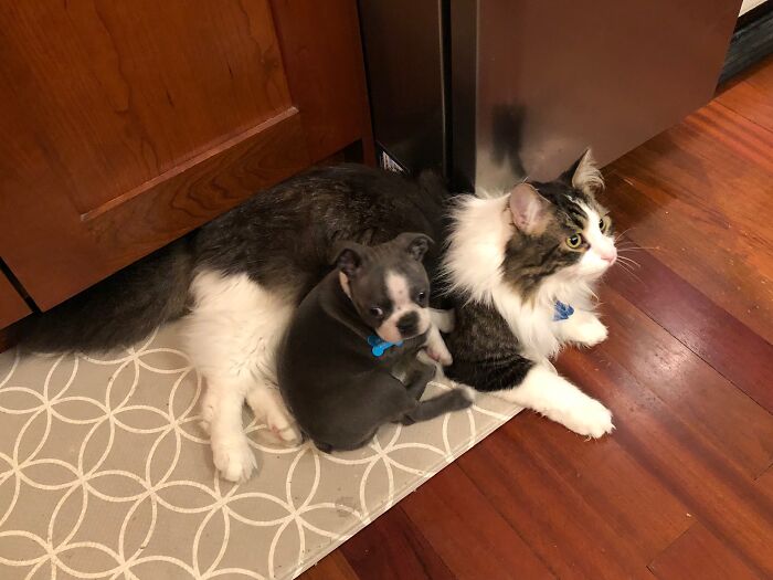 Ozzy And Rusty Day 1