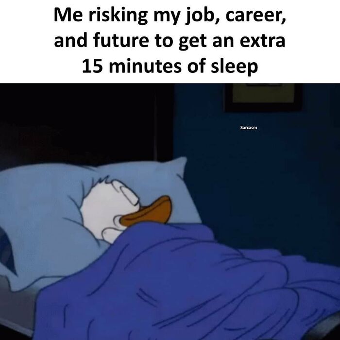 Cartoon character in bed with text about risking everything for sleep, from Sarcasm Only Instagram.