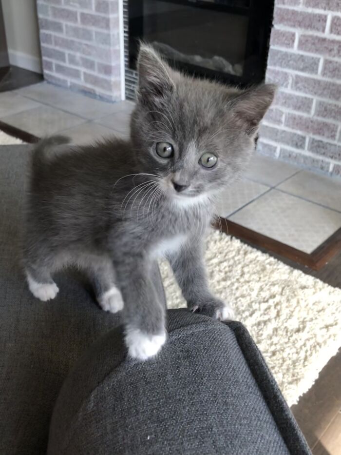 Had Almost A Week And Still No Name…it’s A Boy!