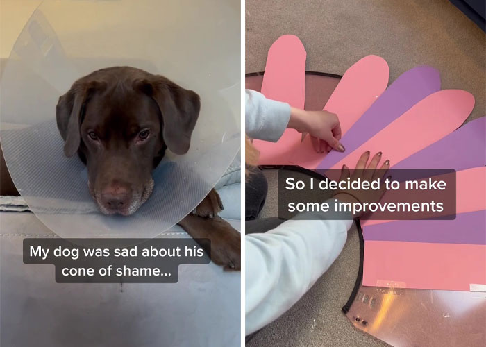 &ldquo;It&rsquo;s Always The Dads Who Didn&rsquo;t Want A Dog That End Up Loving Them The Most&rdquo;: Dad Wears An E Collar To Lift His Pup&rsquo;s Spirits After Surgery