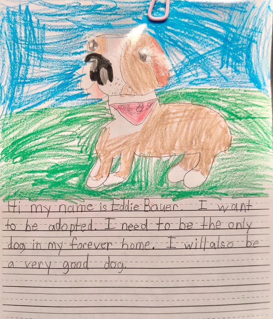 Second Graders Wrote Adorable Letters On Behalf Of Shelter Animals To Get Them Adopted, And It Worked