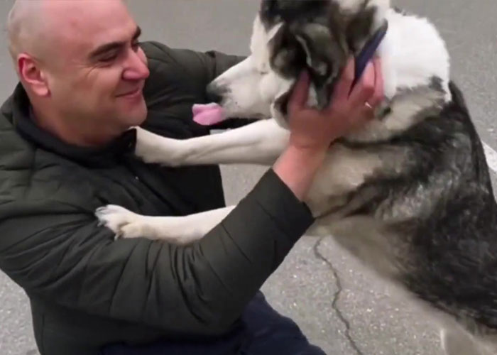 Wholesome Video Shows The Moment A Husky Is Reunited With Its Owner In Bucha, Ukraine, After Separation Caused By Russian Attacks