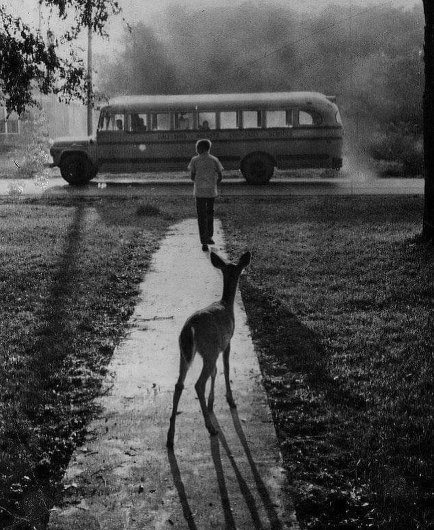 This Instagram Account Features Amusing Street Photographs And Has More Than 500 Thousand Followers (95 New Pics)