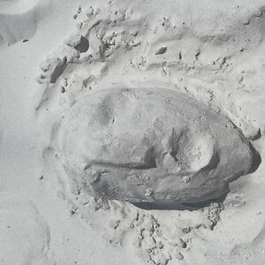 abigailcoty_1 avatar