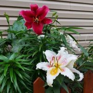 wanda_peters64 avatar