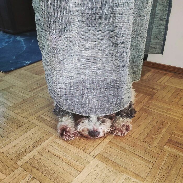 Yeah, I Knew It Was Too Hard For You To Find Me. Here I Am