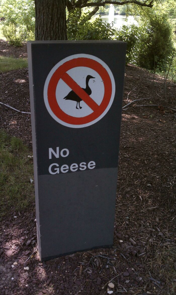 Who Is This Sign Meant For?