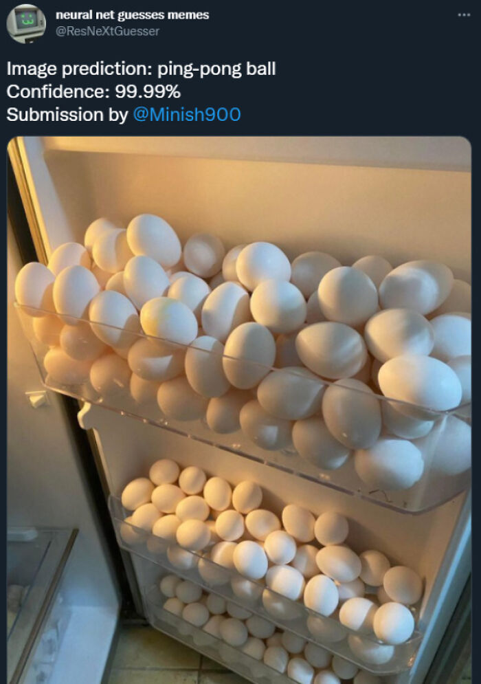 I've Never Seen This Bot This Confident In All Of My Time Following It, I Feel Sad For It