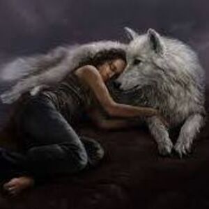 freya_switzer avatar