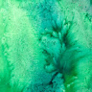 usuarioqualquer avatar