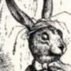 jackrabbit avatar