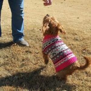 wesley_henderson1 avatar