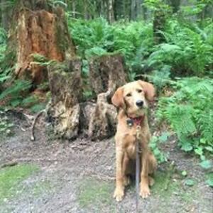 ciaratiara56_1 avatar