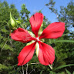 punky_v_eclectic avatar