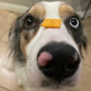 jaxongonzalez avatar