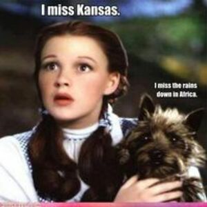 wellingtonptallywacker avatar