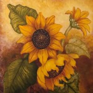 denise_gunnels avatar