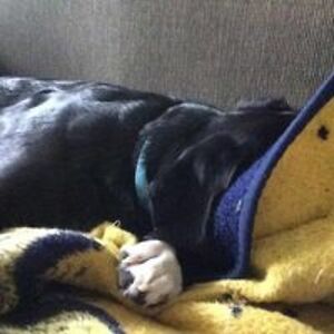 marciniak2233 avatar