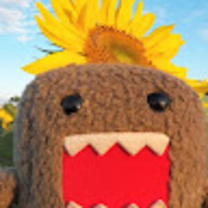 karenhirlston avatar