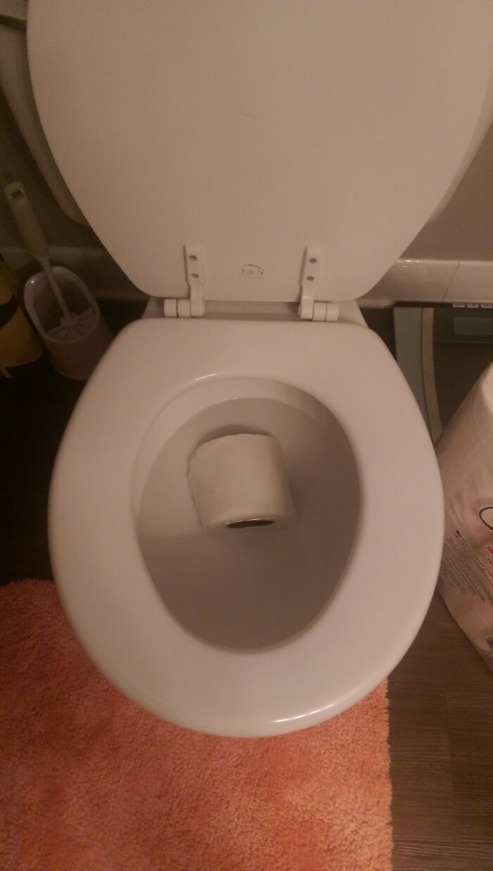 Pregnant Brain FTW. I Don't Even