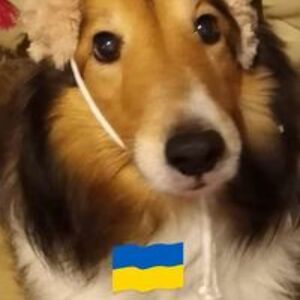 debbiehrollins avatar