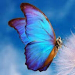 butterflygoddess avatar