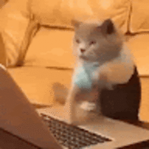 shagunsrivastava avatar