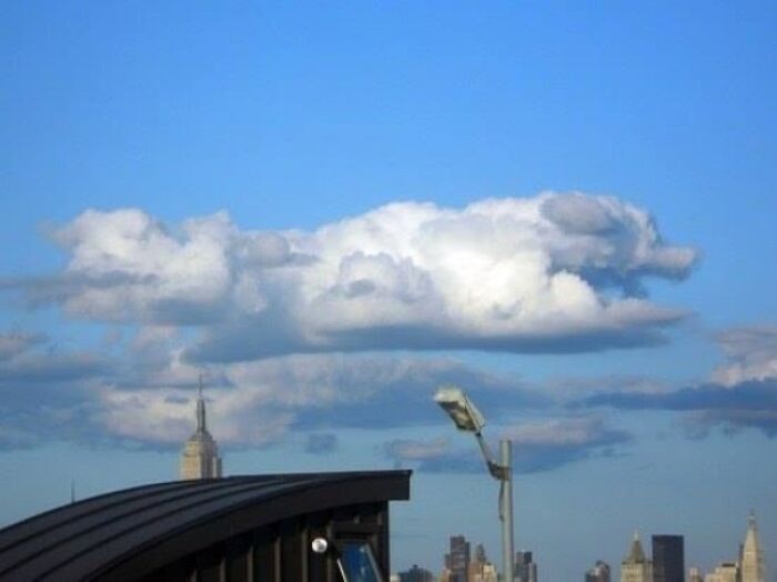 Dog Cloud Or Falkor?
