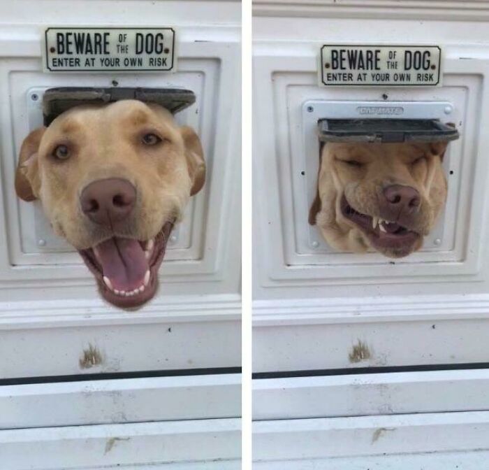 What Goes In Doesn’t Always Come Out