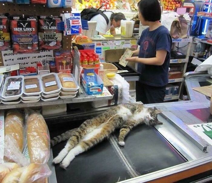 “I Need A Price Check!”