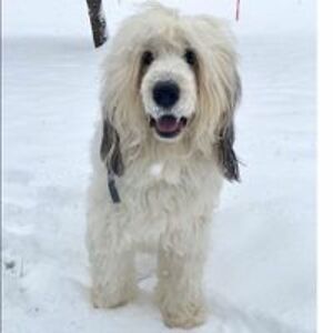 marybeth_lawson avatar