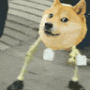 raineseawrightstudent avatar