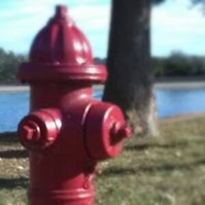 emilywalkerhunter avatar