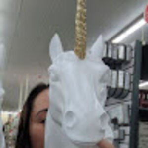 tenilleschaefer avatar