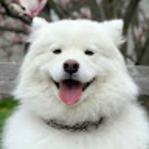 2027verasergeeva avatar