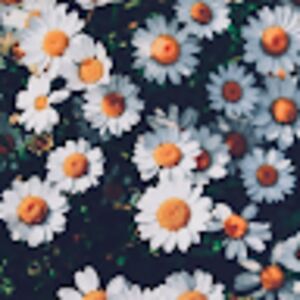 miriamsampson avatar