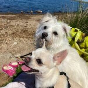 tamara_hunter avatar