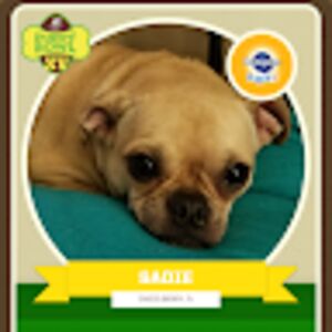 barbaratrujillo avatar