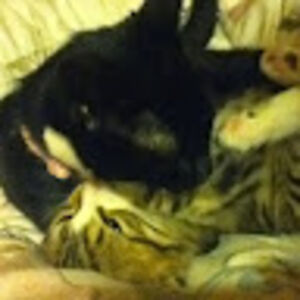 constancemartin avatar