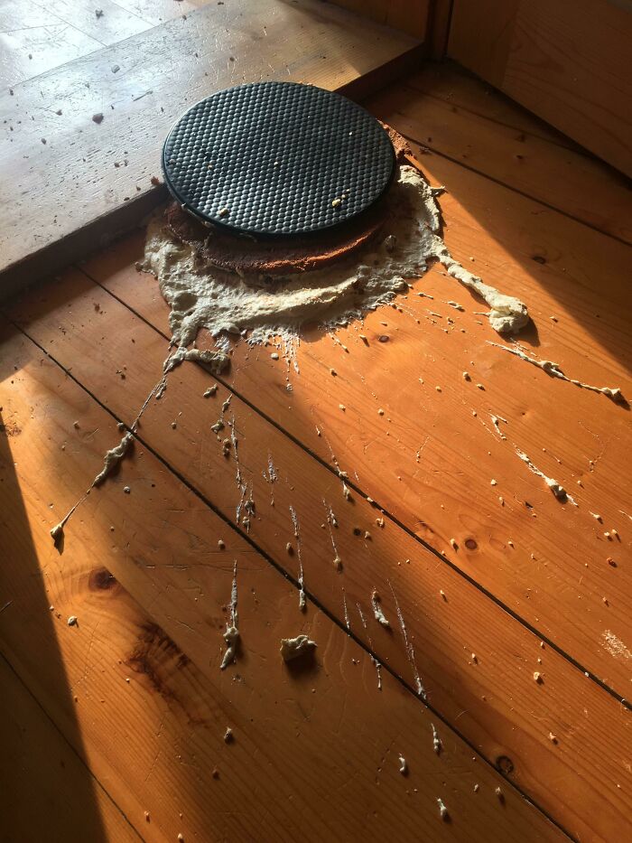 ¿Se permiten aquí los fiascos de pastelería? Mi torta de cumpleaños acaba de caer en picada